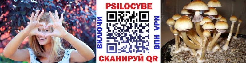 закладки  OMG зеркало  Псилоцибиновые грибы GOLDEN TEACHER  Гаврилов Посад 
